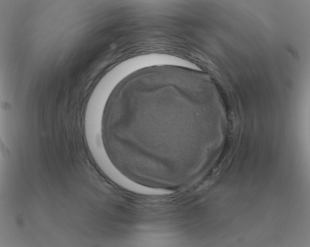 X0000090620762200708071224