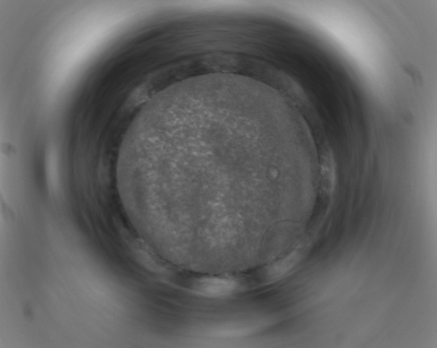 X0000090620765200708071224