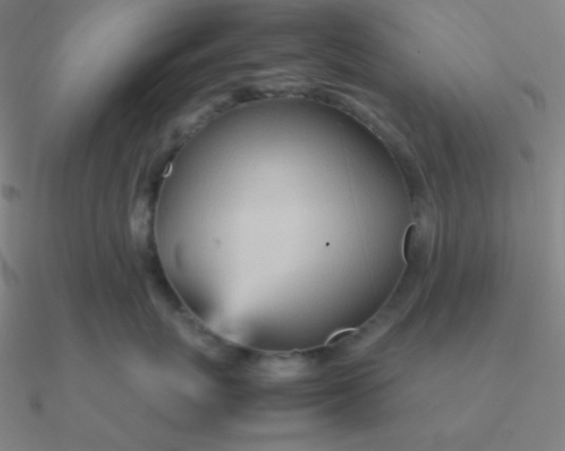 X0000090620767200708071225