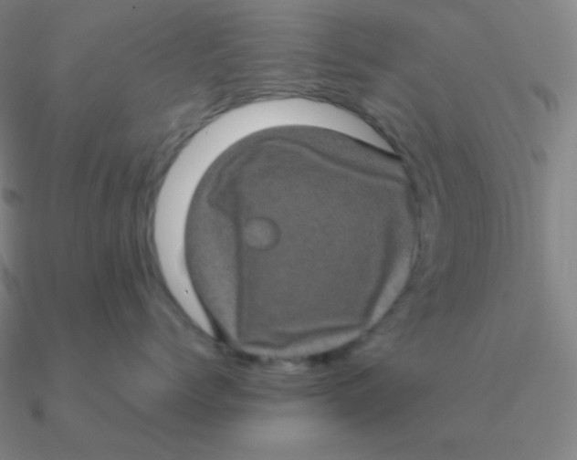 X0000090620768200708071225