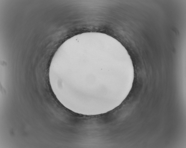 X0000090620769200708071224