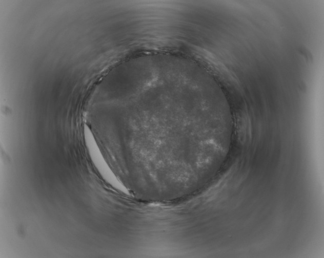 X0000090620770200708071224