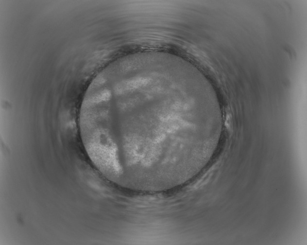 X0000090620771200708071224