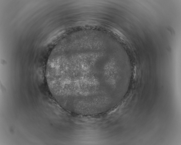 X0000090620774200708071224