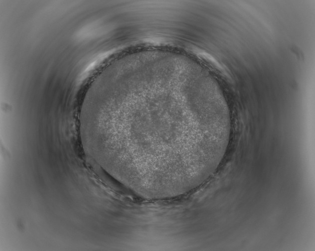 X0000090620776200708071224