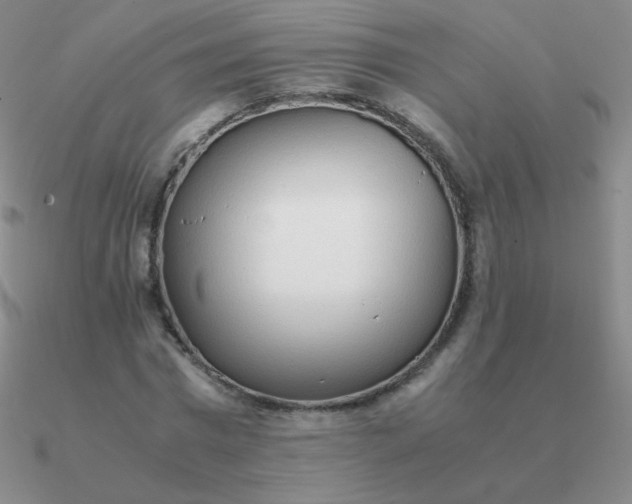 X0000090620777200708071224