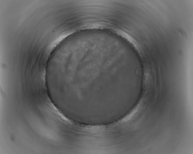 X0000090620778200708071224