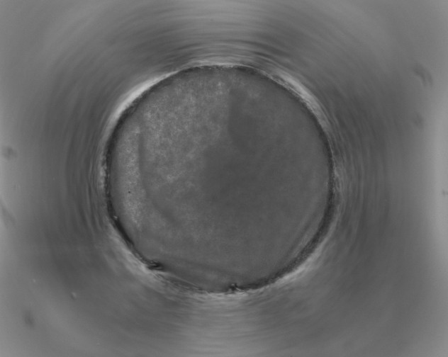 X0000090620779200708071224