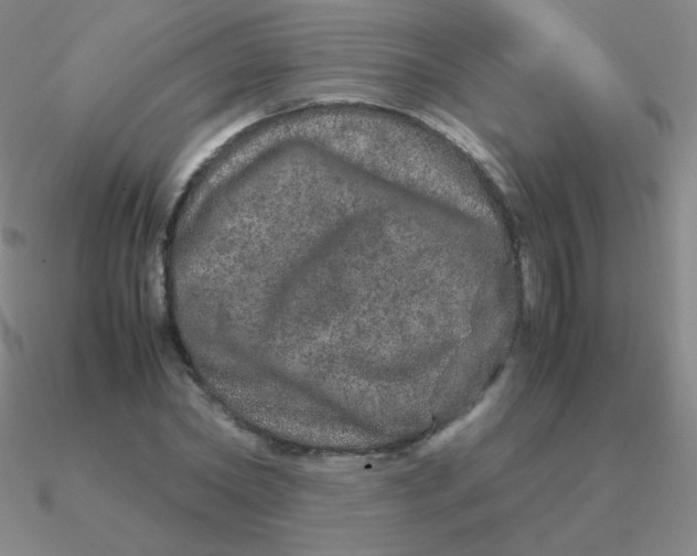 X0000090620782200708071224