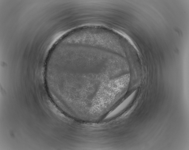 X0000090620783200708071224