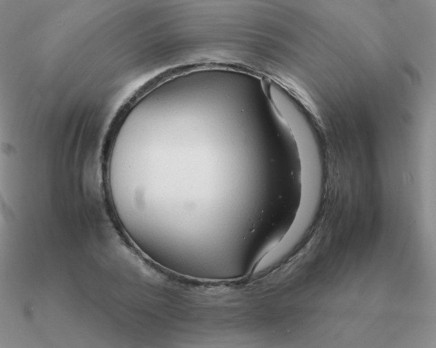 X0000090620784200708071224