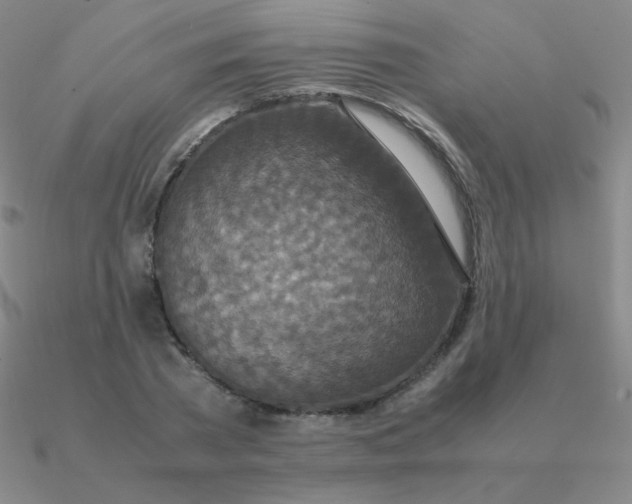 X0000090620785200708071224