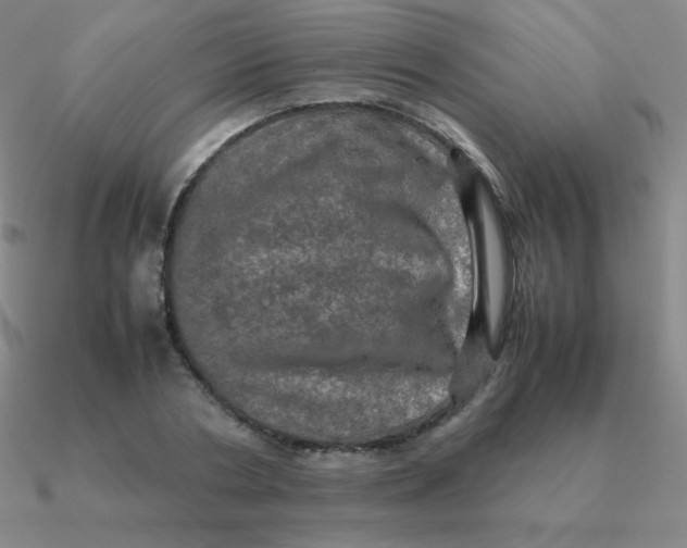 X0000090620786200708071224