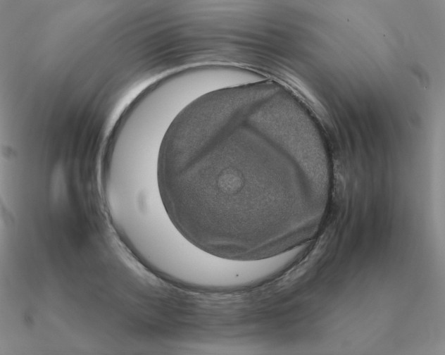 X0000090620788200708071224