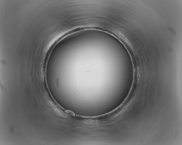 X0000090620789200708071224