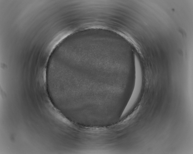 X0000090620790200708071224