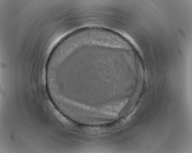 X0000090620791200708071224