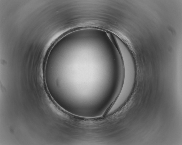 X0000090620792200708071224