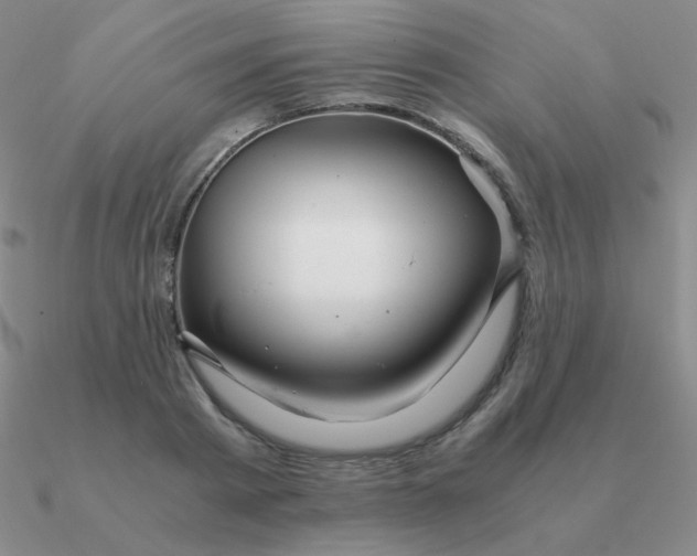 X0000090620793200708071224