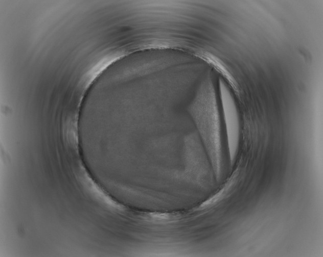 X0000090620794200708071224