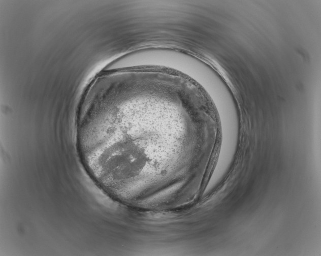 X0000090620795200708071224