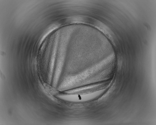 X0000090620798200708071224