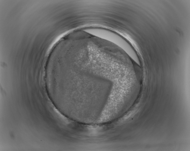 X0000090620799200708071224