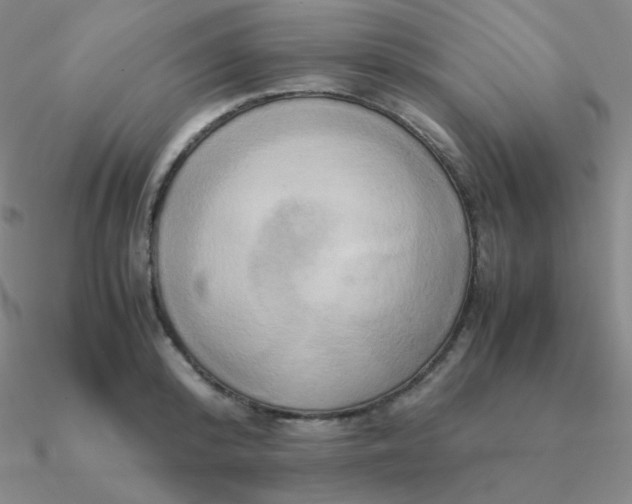 X0000090620800200708071223