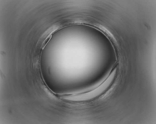 X0000090620801200708071223