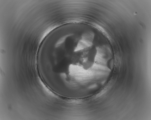 X0000090620802200708071223