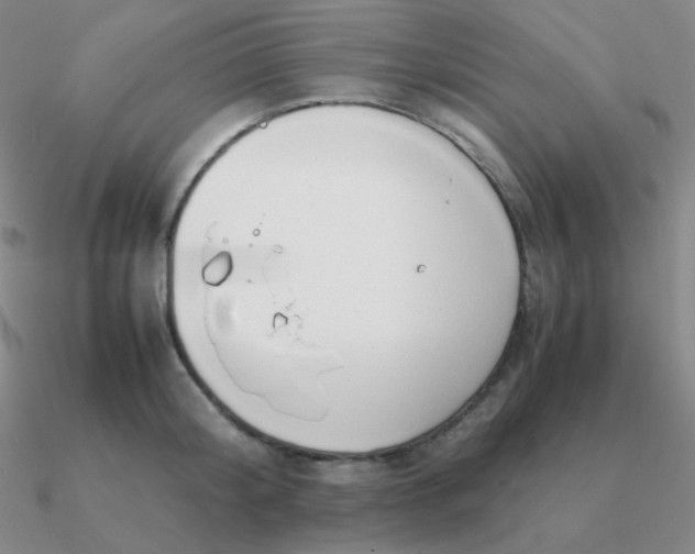 X0000090620804200708071223