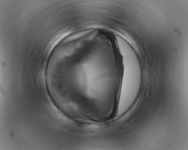 X0000090620806200708071223