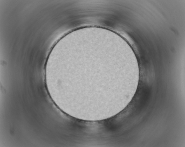 X0000090620807200708071223