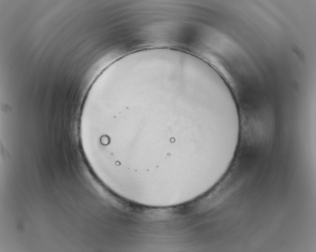 X0000090620810200708071223