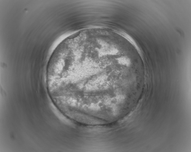 X0000090620811200708071223