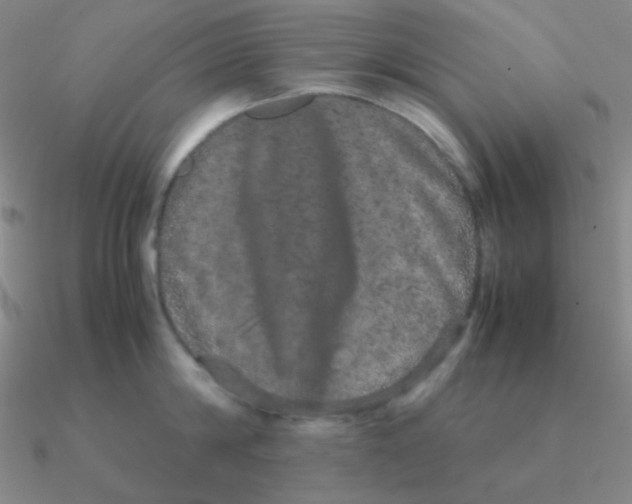 X0000090620814200708071223