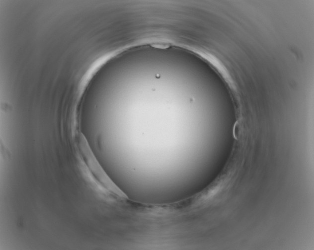 X0000090620815200708071223