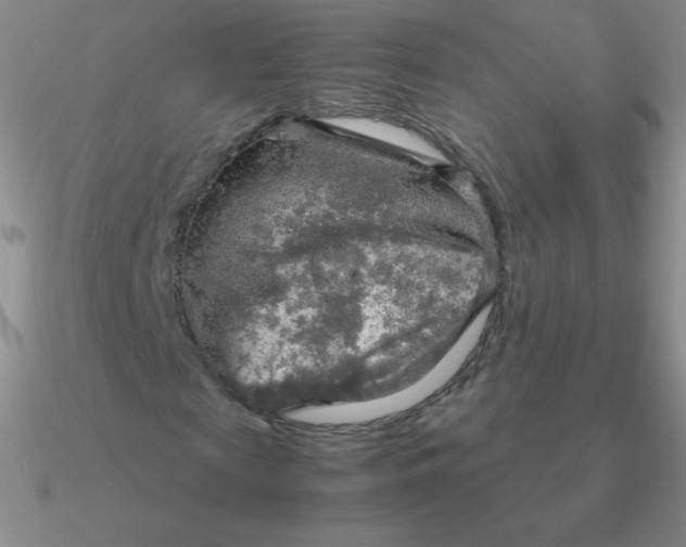 X0000090620817200708071222