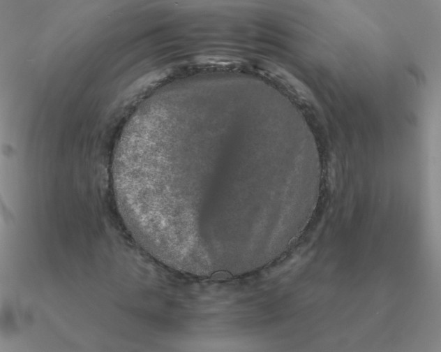 X0000090620821200708071222