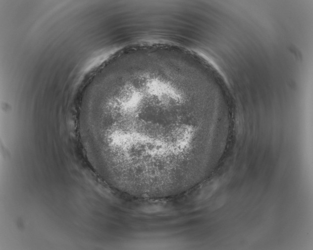 X0000090620823200708071223