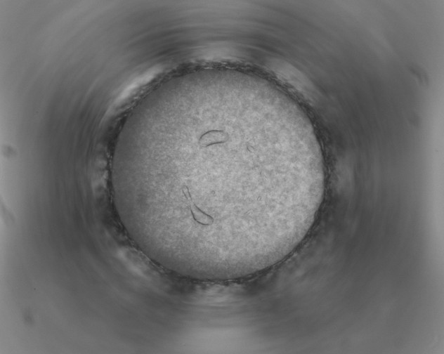 X0000090620824200708071223