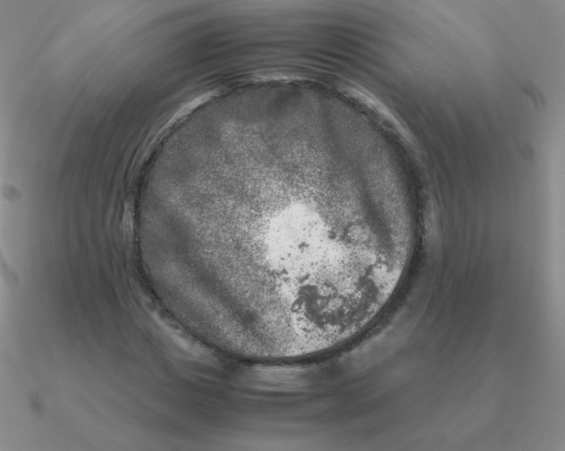 X0000090620825200708071223