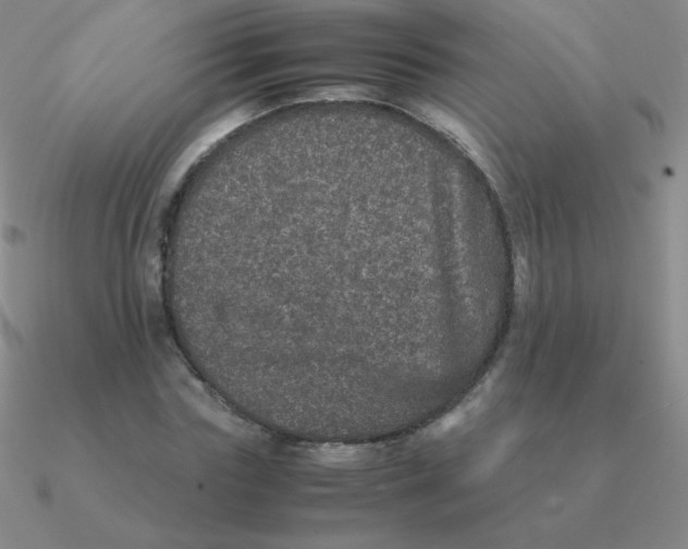 X0000090620827200708071223