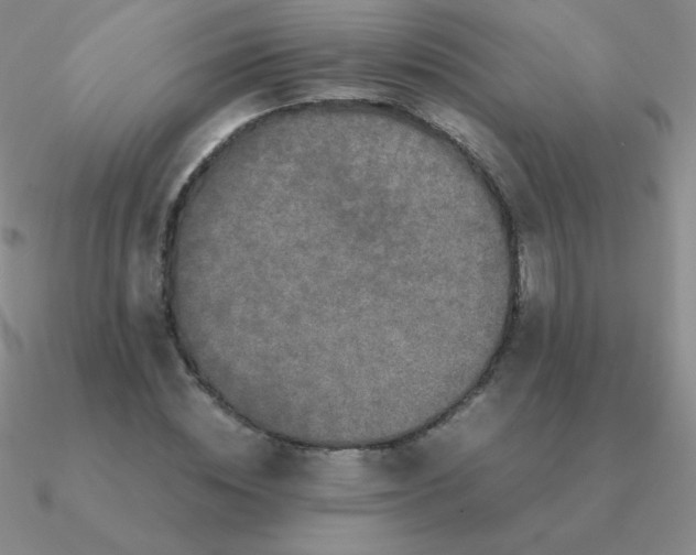 X0000090620828200708071223