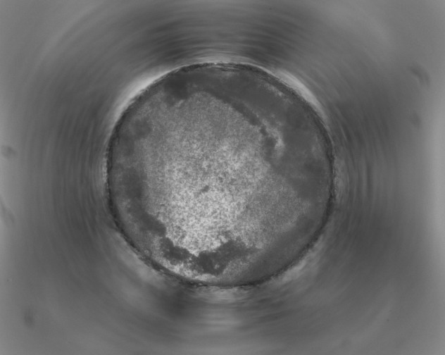 X0000090620831200708071223