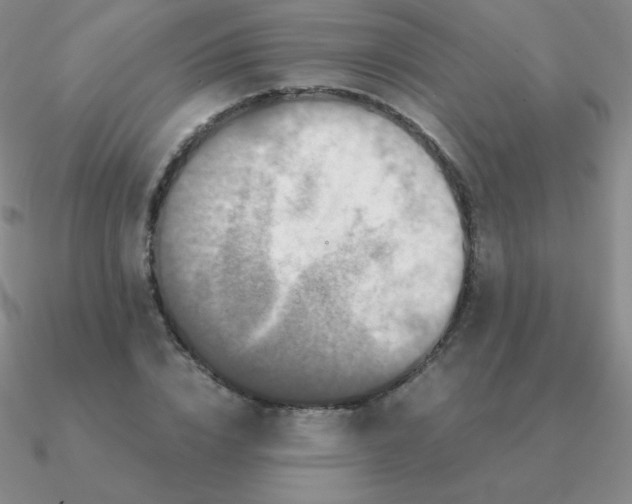 X0000090620832200708071223