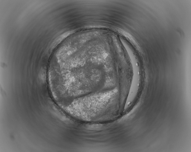 X0000090620833200708071223