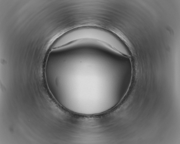 X0000090620834200708071223