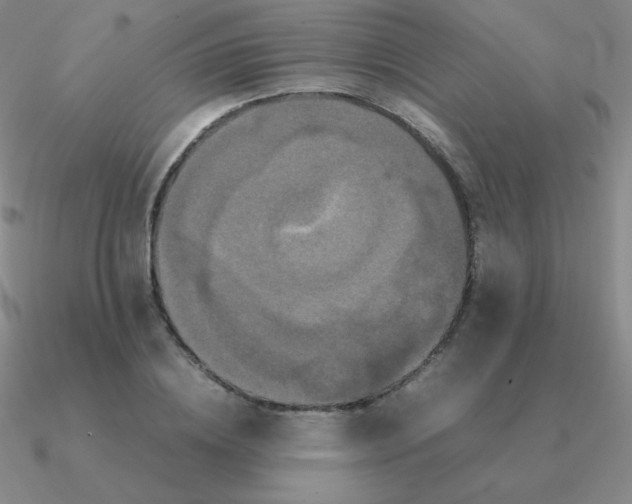 X0000090620836200708071223