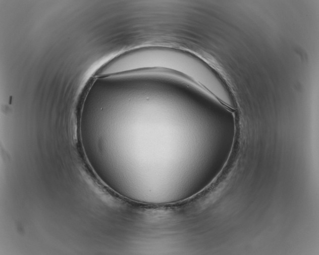 X0000090620838200708071223